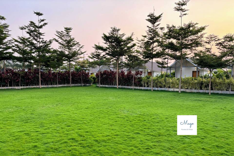 lawn area