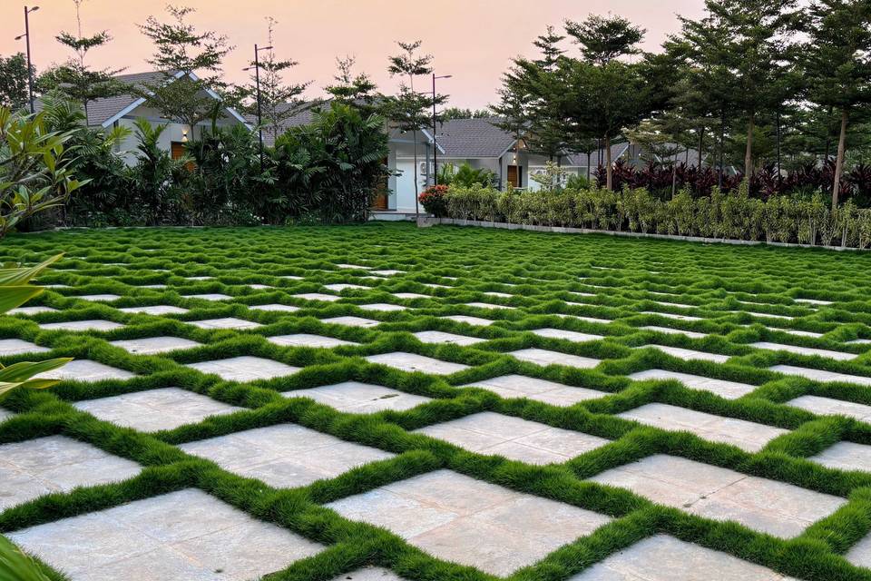 Lawn area
