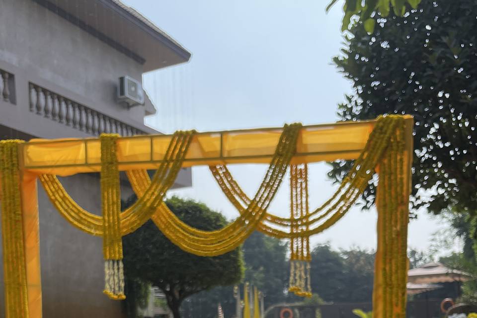 Haldi entry