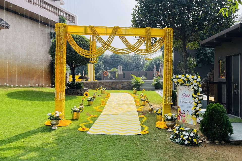 Haldi Entry