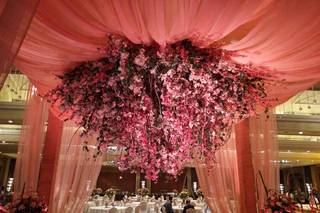 Fiore Events & Weddings