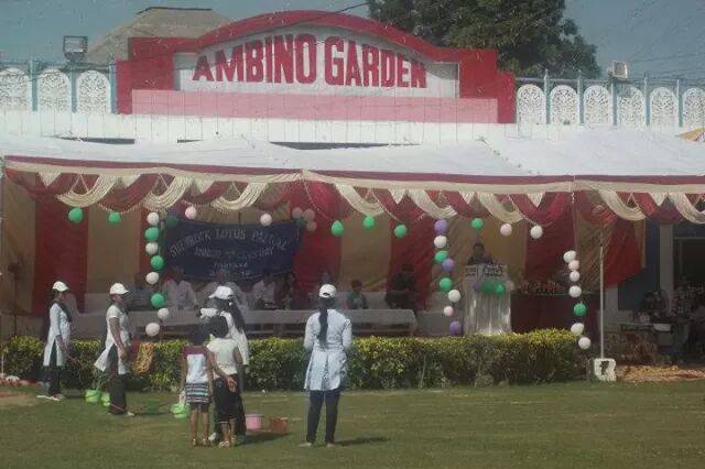 Ambino Garden