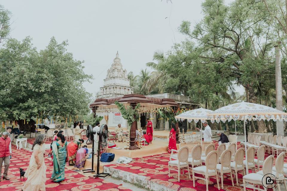 Wedding