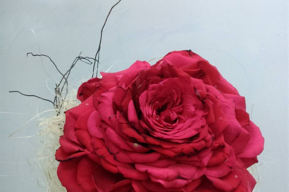 Composit rose