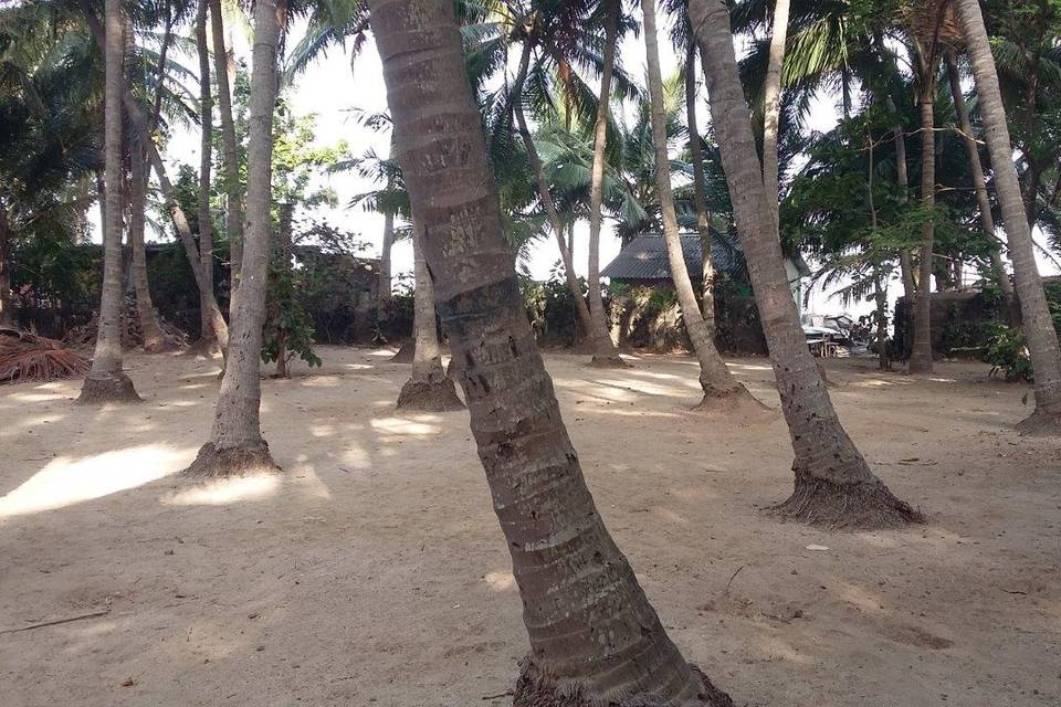 Thomas Wadi Gorai Beach, Western Suburbs