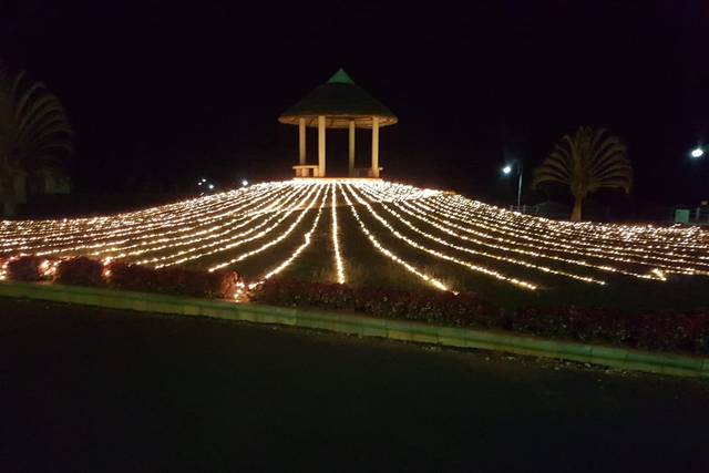 Wedding decor and lighting