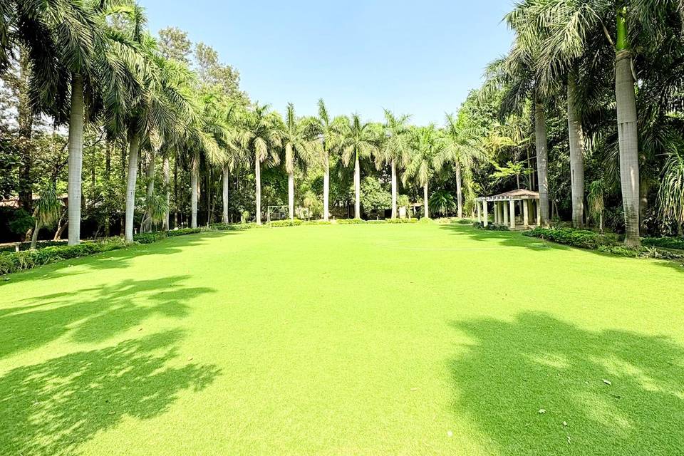 Lawn area