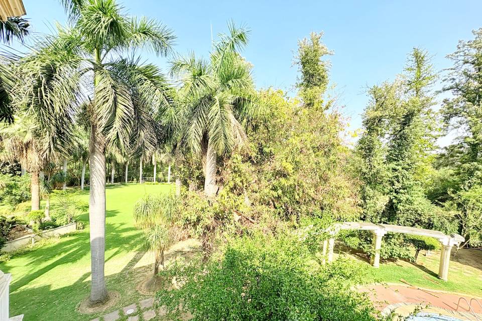 Lawn area