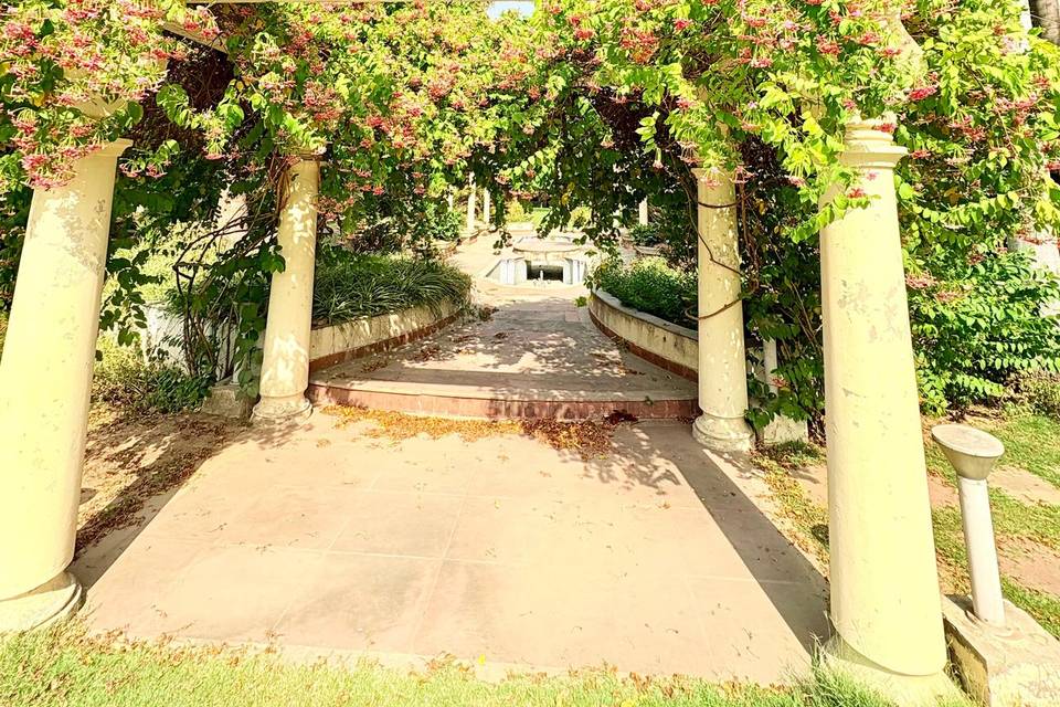 Lawn area