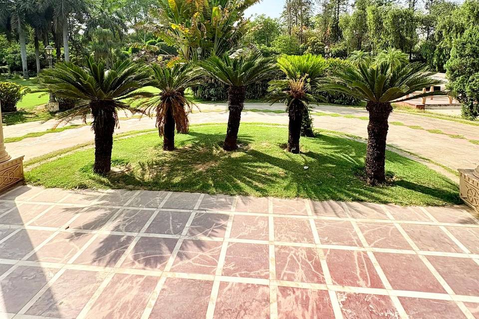 Lawn area