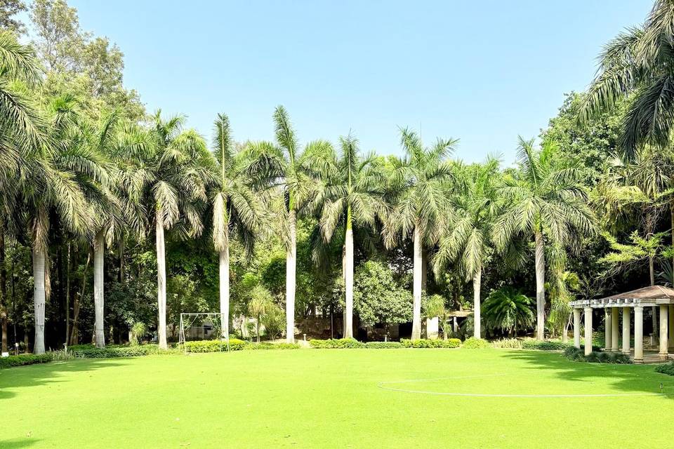 Lawn area