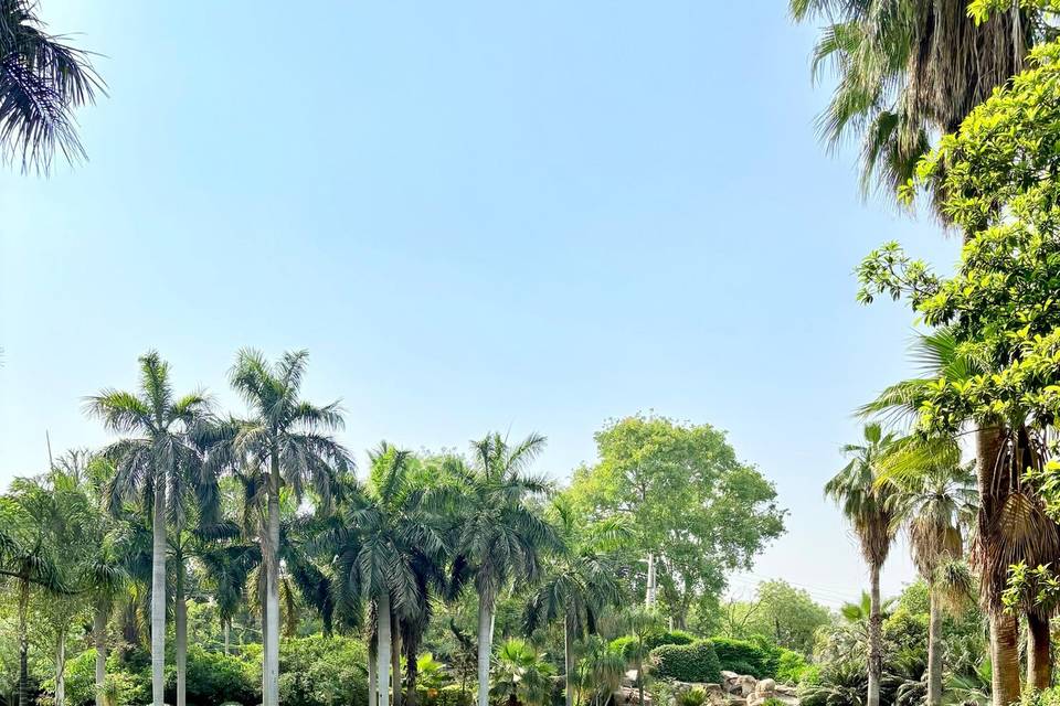 Lawn area