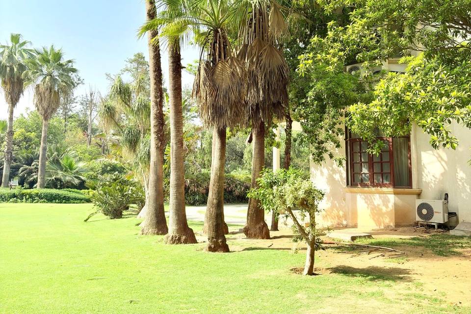 Lawn area