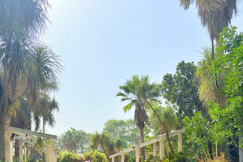 Lawn area