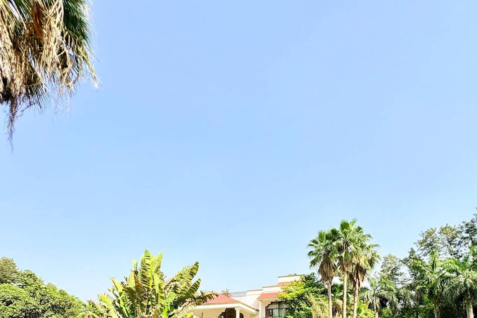 Lawn area