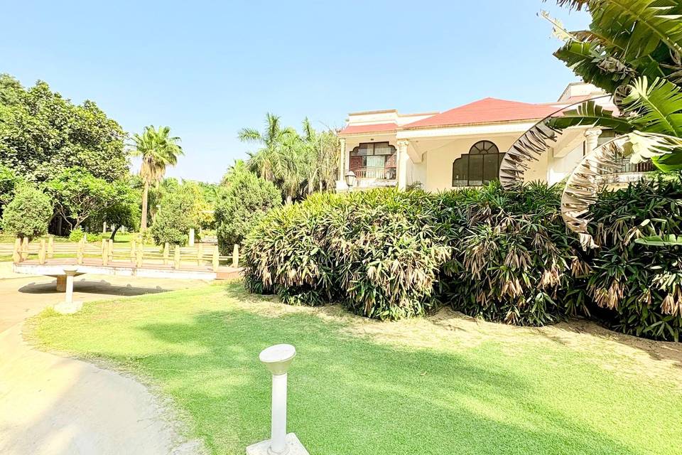 Lawn area