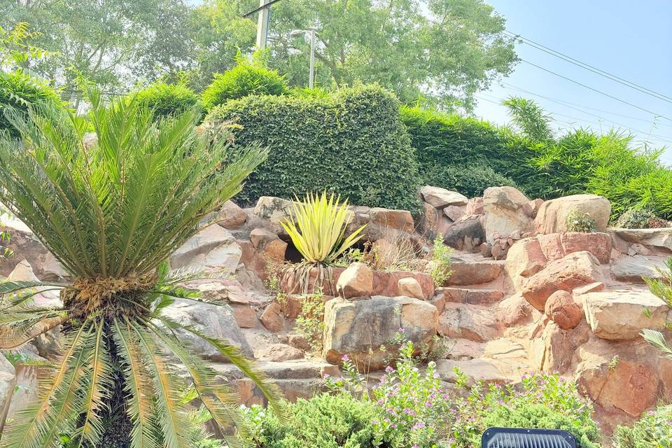 Lawn area