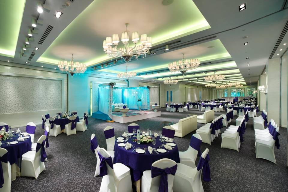 Radisson Blu Hotel, Paschim Vihar