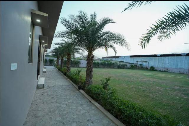 Lawn area