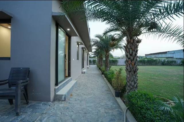 Lawn area