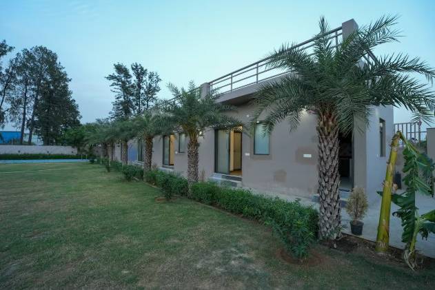 Lawn area