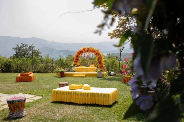 Lawn area