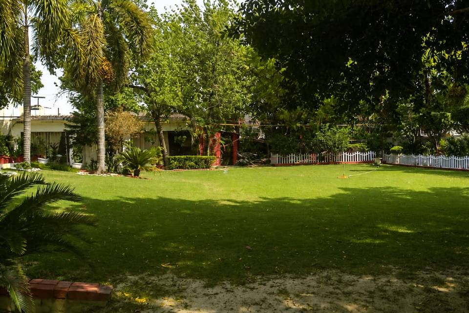 Lawn 1