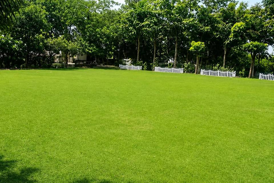 Lawn 2