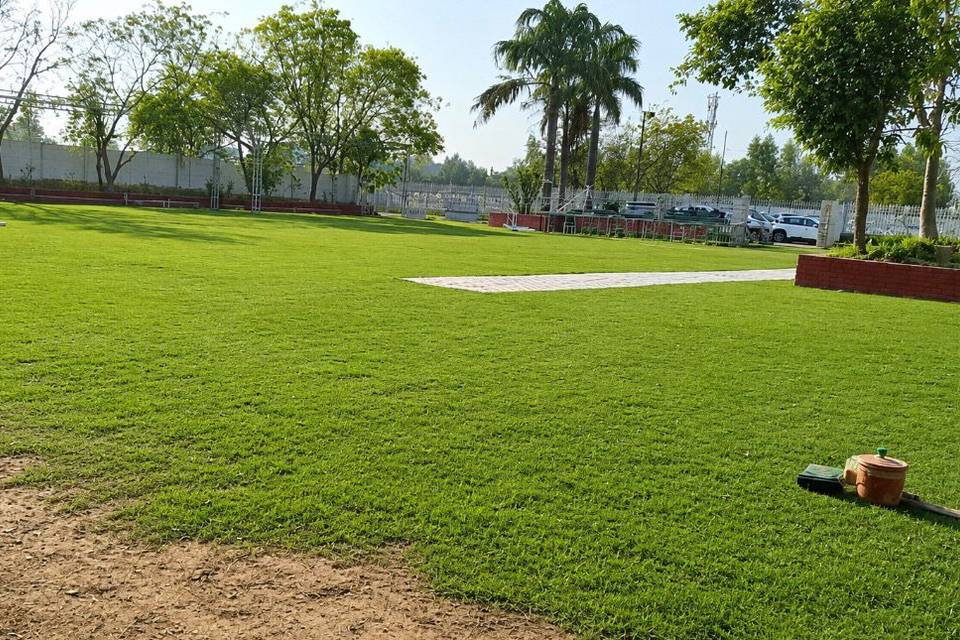 Lawn 3