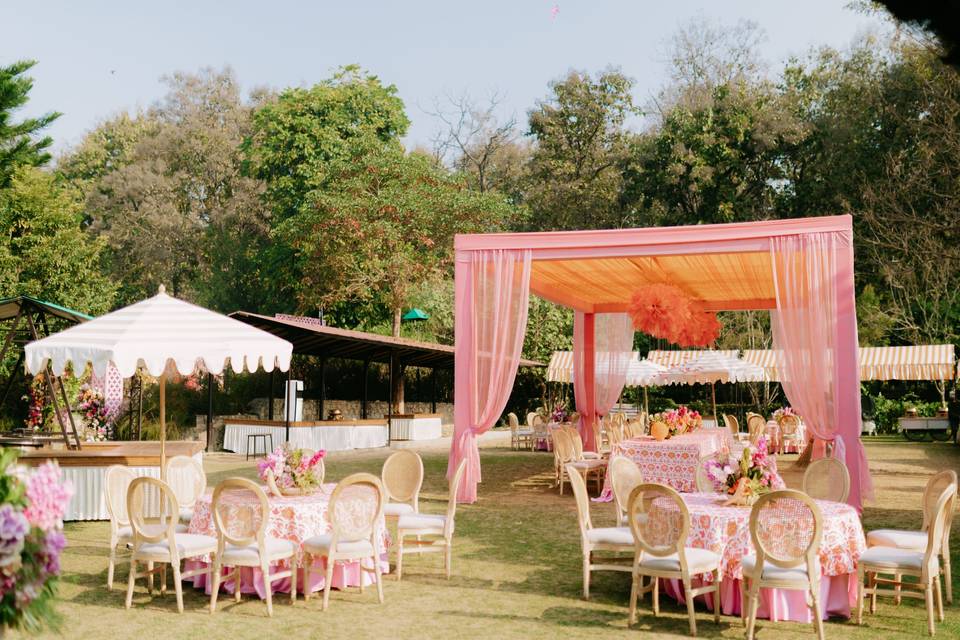 A pastel haldi