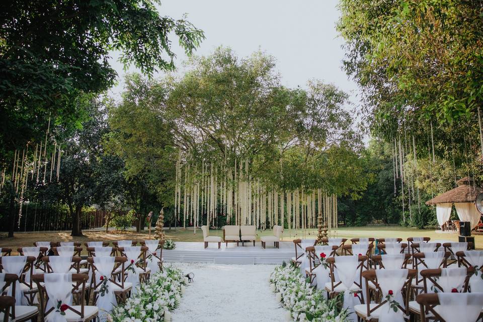 Tree Mandap