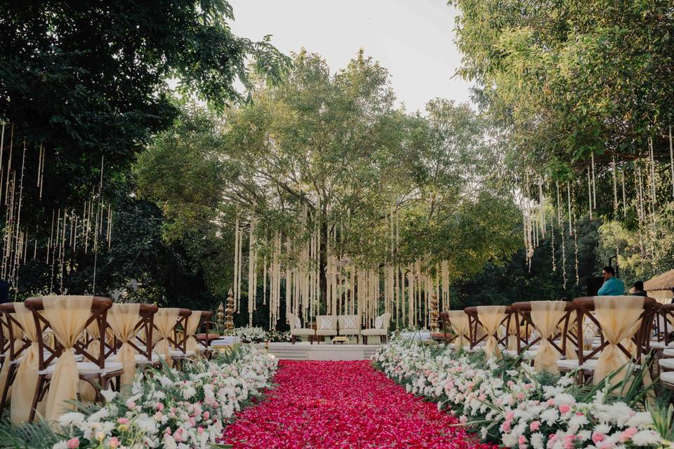 Jamun tree mandap