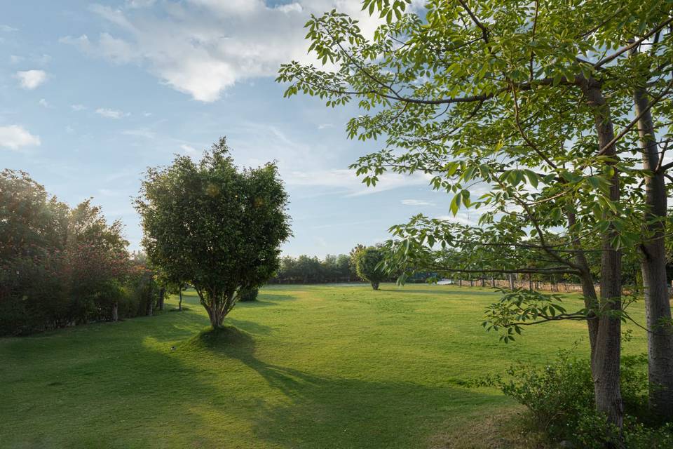 Lawn area