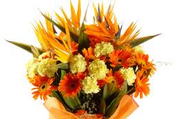 Just Florist