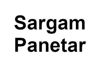 Sargam Panetar