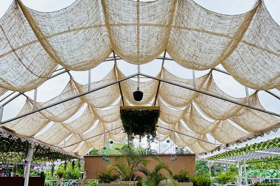 Terrace area