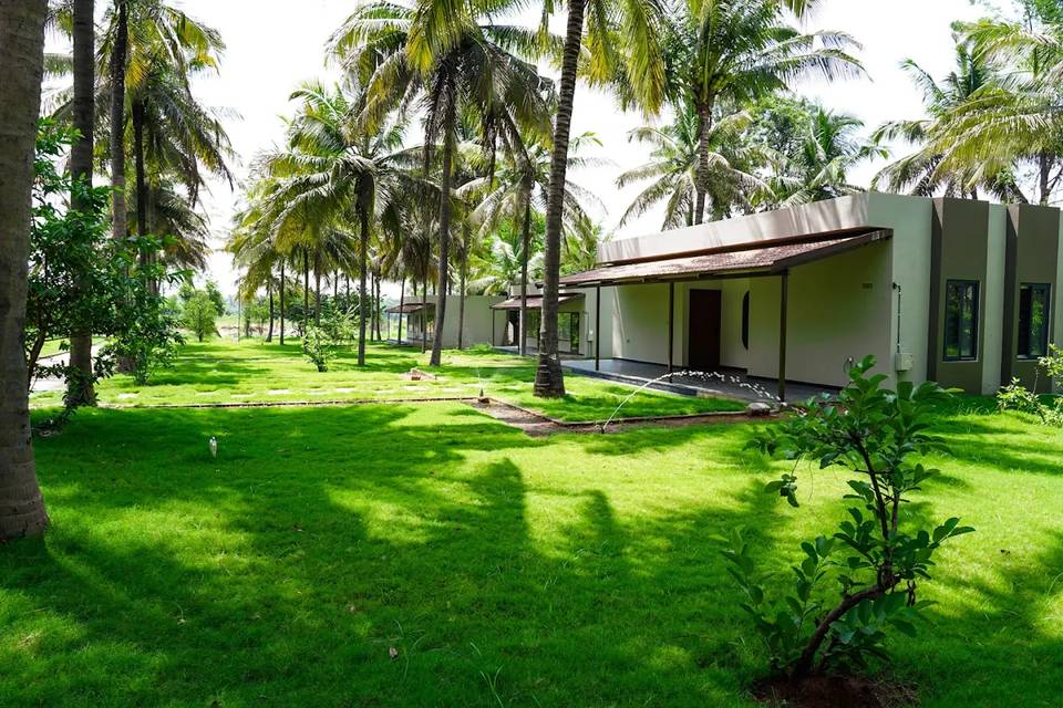 Lawn area