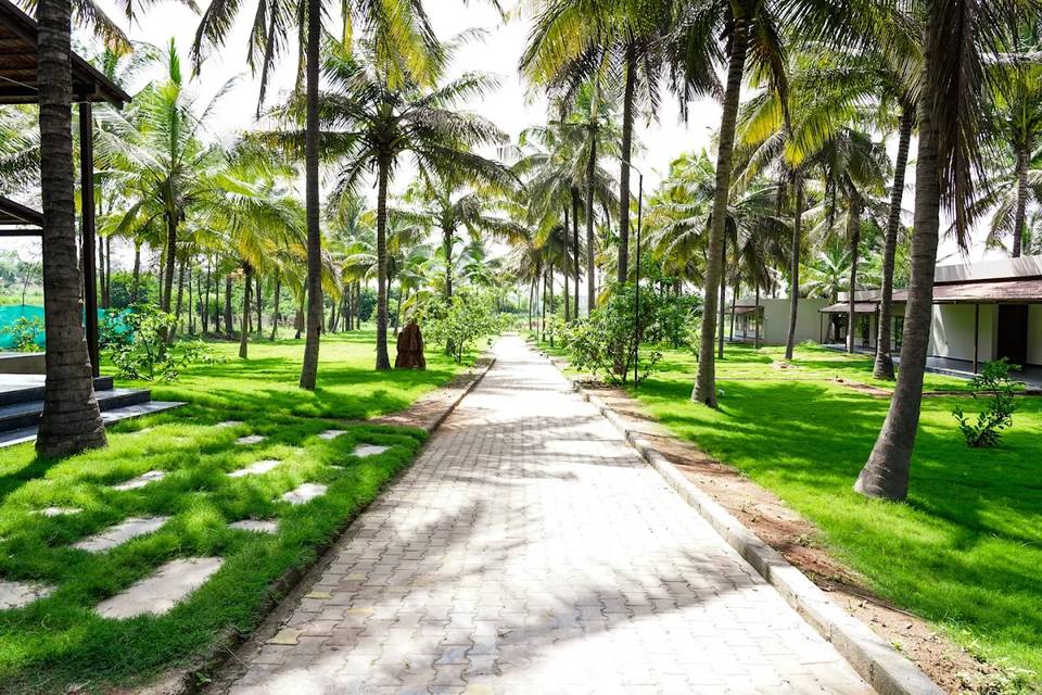 Lawn area