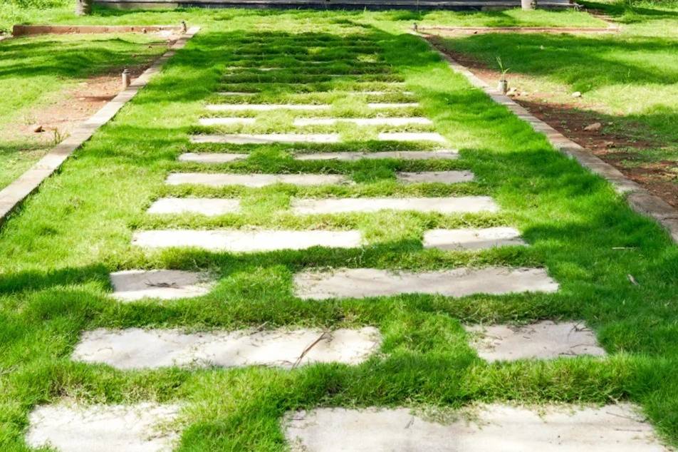 Lawn area