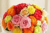 Ferns N Petals - Florist & Gift Shop, Alwar