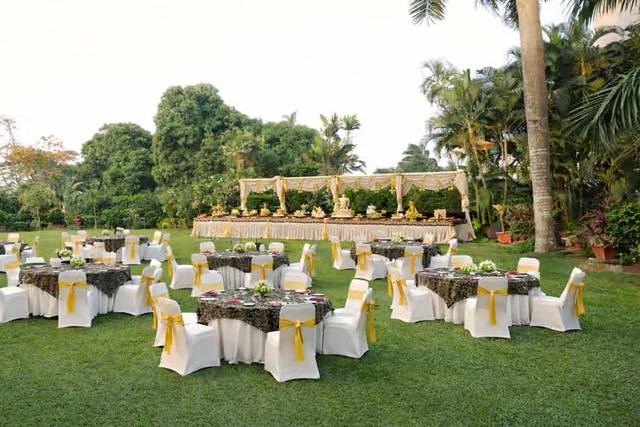 Lawn area