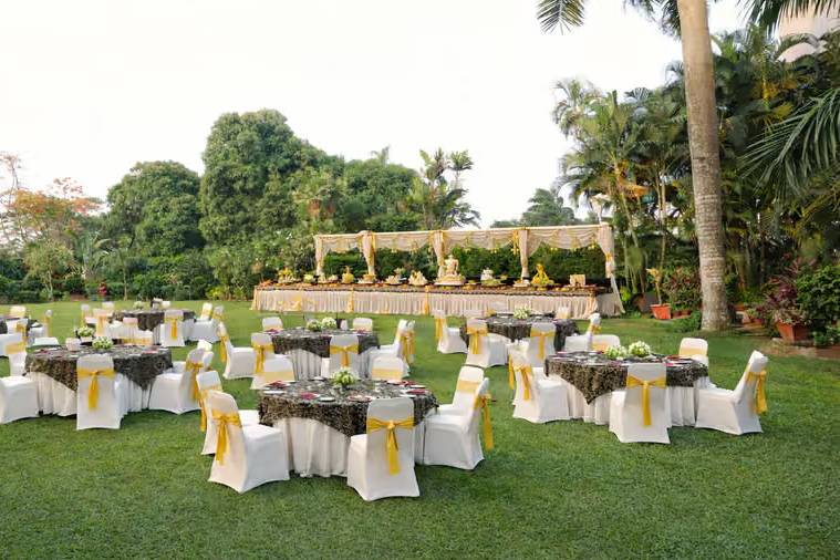 Lawn area