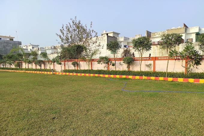 Lawn area