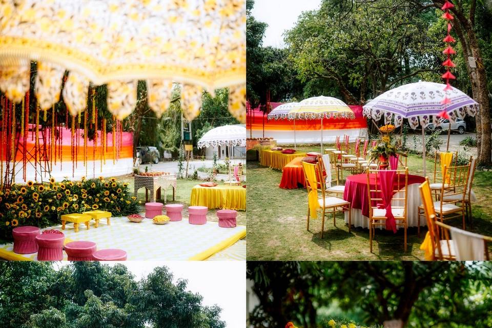 Haldi in Bagh