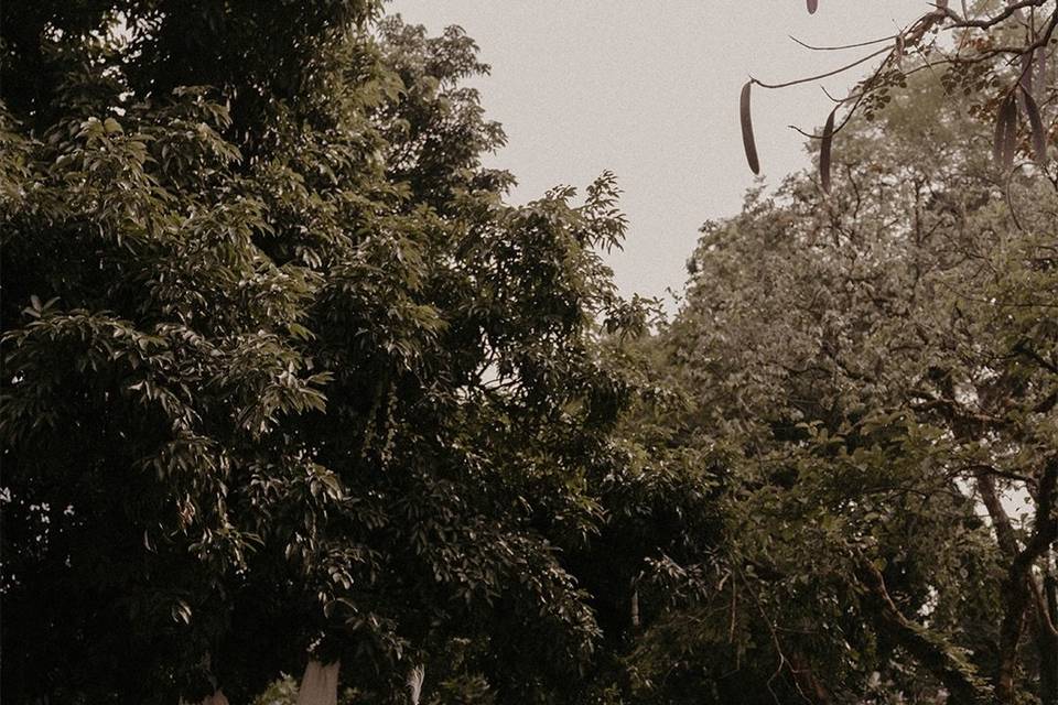 Wedding in Lycher Bagh