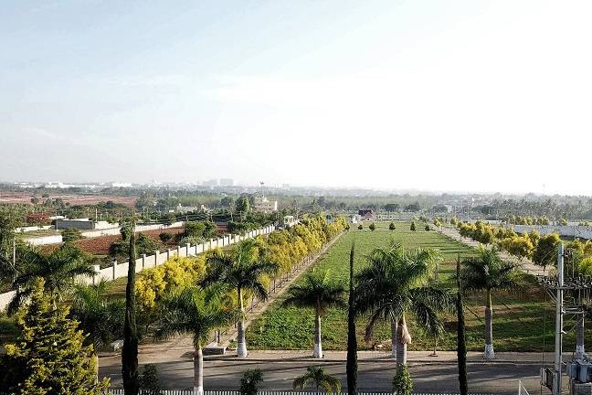 Lawn
