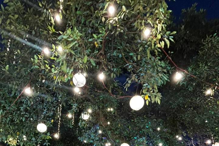 Ambience Light