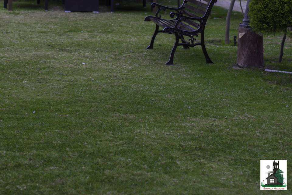 LAWN