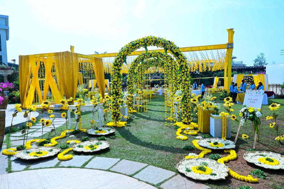 Haldi Setup