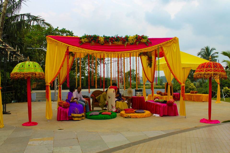 Haldi Setup